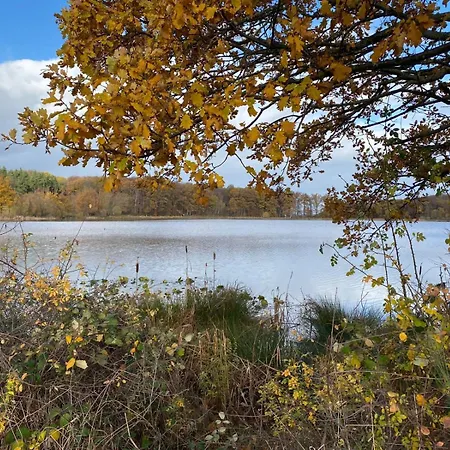 Eifel Hills Niederdürenbach