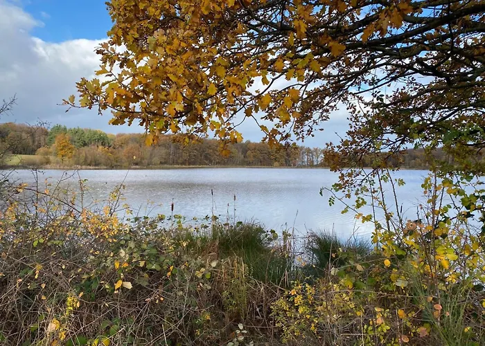 Eifel Hills Niederdürenbach